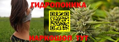 ГАЛЛЮЦИНОГЕННЫЕ ГРИБЫ Пушкино