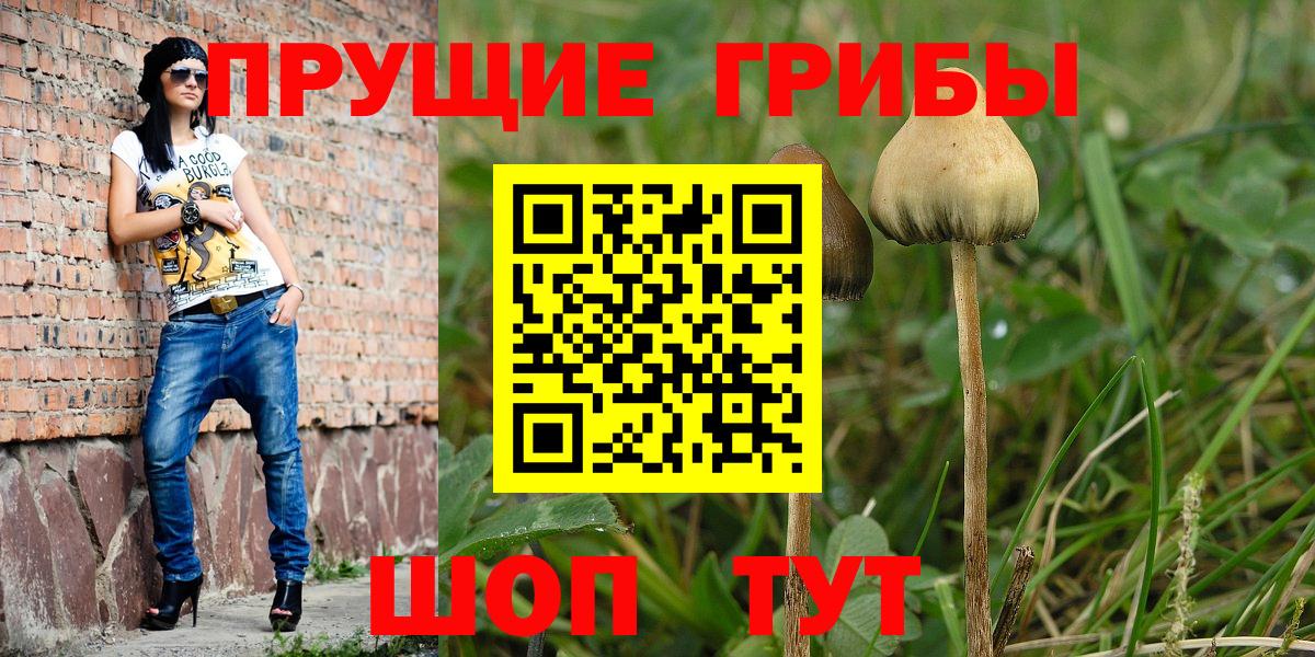 Псилоцибиновые грибы ЛСД  Вход с VPN  Скопин  Псилоцибиновые грибы GOLDEN TEACHER 